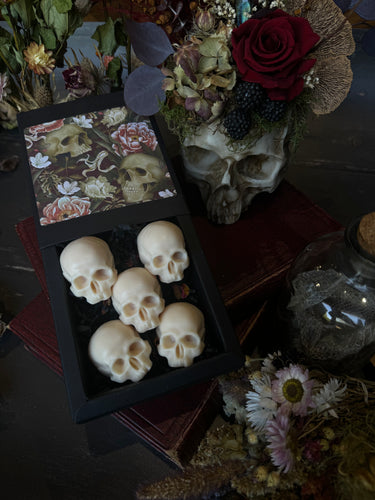 The Ossuary Collection